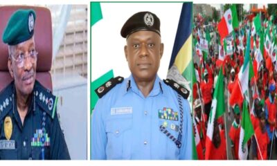 IGP and NLC