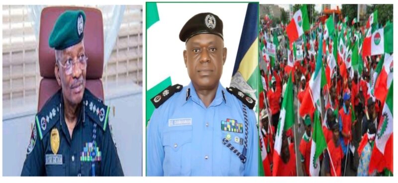 IGP and NLC