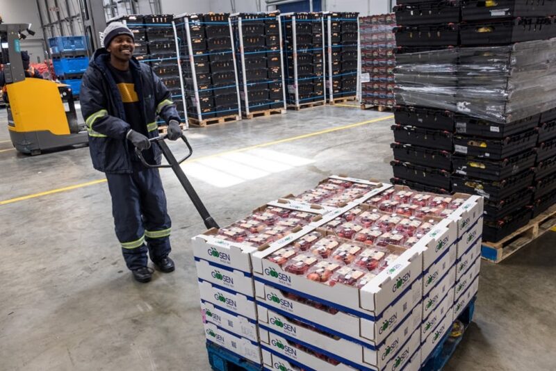 Shoprite - Food and goods warehouse