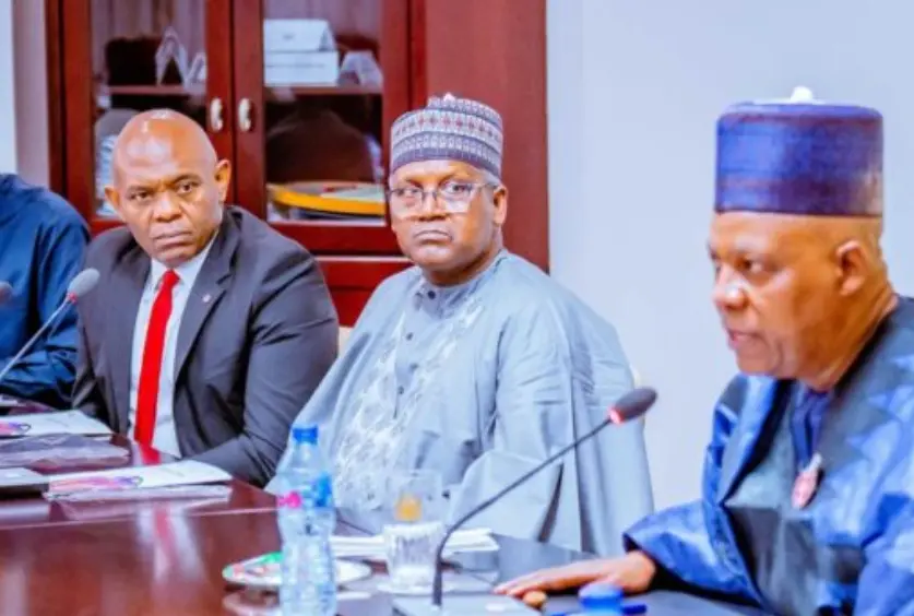 Tinubu forms economic coordination council, names Dangote, Elumelu as members