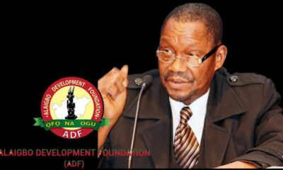 Emeritus Professor Timothy Uzodinma Nwala