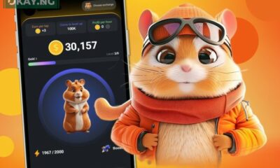 Hamster-Kombat-Opinion-Nigeria