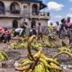 Idioro market - banana, plantain and general food