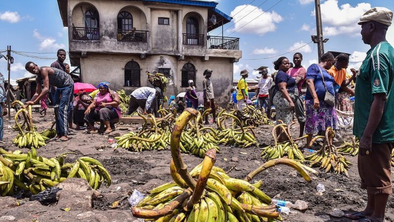 Idioro market - banana, plantain and general food