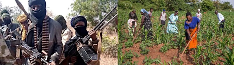Farmers And Insecurity