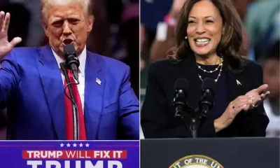 Trump and Harris