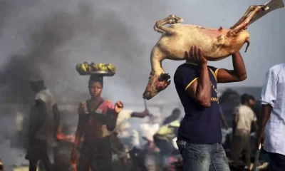 Abattoir in maiduguri
