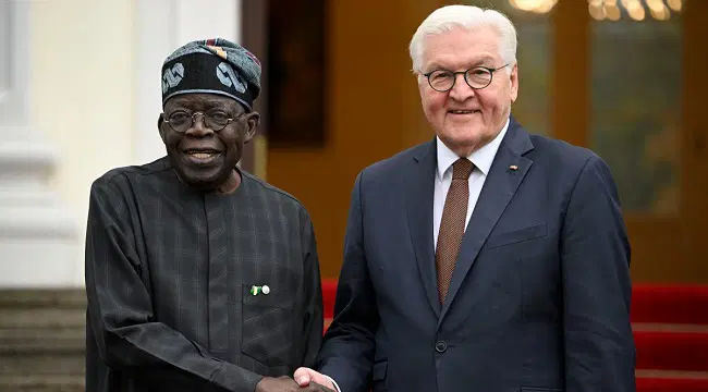 Tinubu and German President Steinmeier