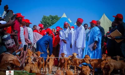 Abba-Yusuf-distributes-goats-to-women-in-Kano