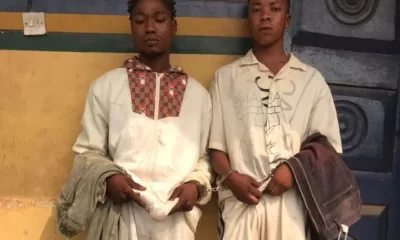 Young criminal suspects