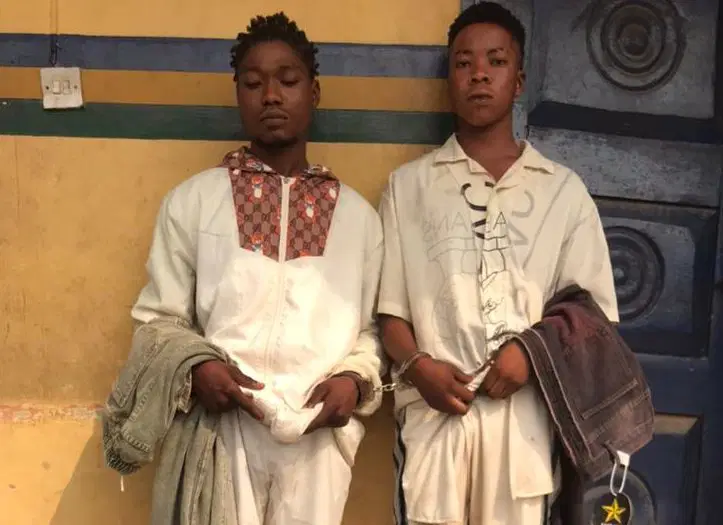 Young criminal suspects