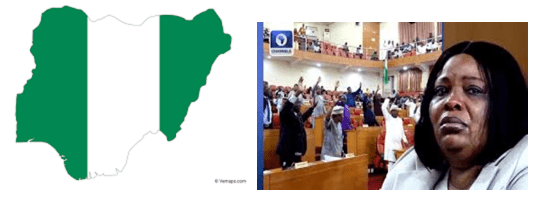 Mojisola Marenda - Lagos Assembly Speaker