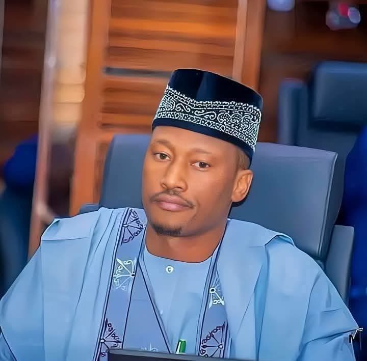 Usman Abdullahi Koli