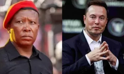 Malema and Elon Musk