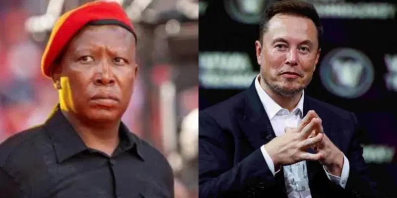Malema and Elon Musk