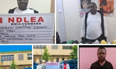 NDLEA - drug suspect arrested