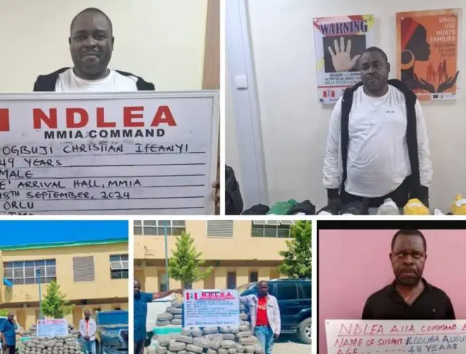 NDLEA - drug suspect arrested