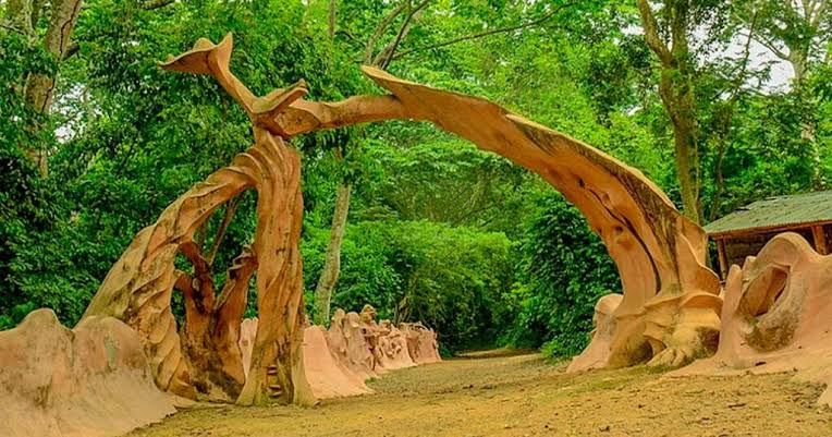 Osun-Osogbo Grove