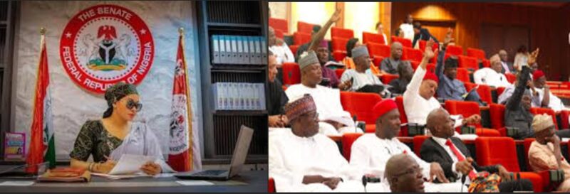 Natasha Akpoti-Uduaghan and Senate