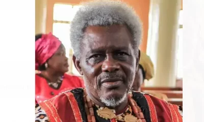 Professor Uchenna Ezemagu