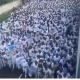 Rivers-women-march protest
