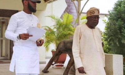 Seyi Tinubu and Tinubu