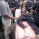 WAEC Candidate killed by police