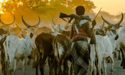 Fulani herdsmen with guns