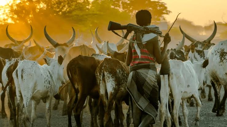 Fulani herdsmen with guns
