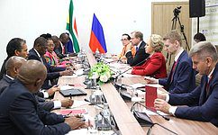 South Africa and Federation Council