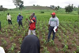 Farming In Nigeria
