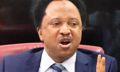 Senator Shehu Sani