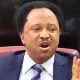 Senator Shehu Sani