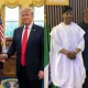 Peter Obi, Trump and MC Oluomo