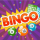 Bingo - Online entertainment for everyone - opinionnigeria