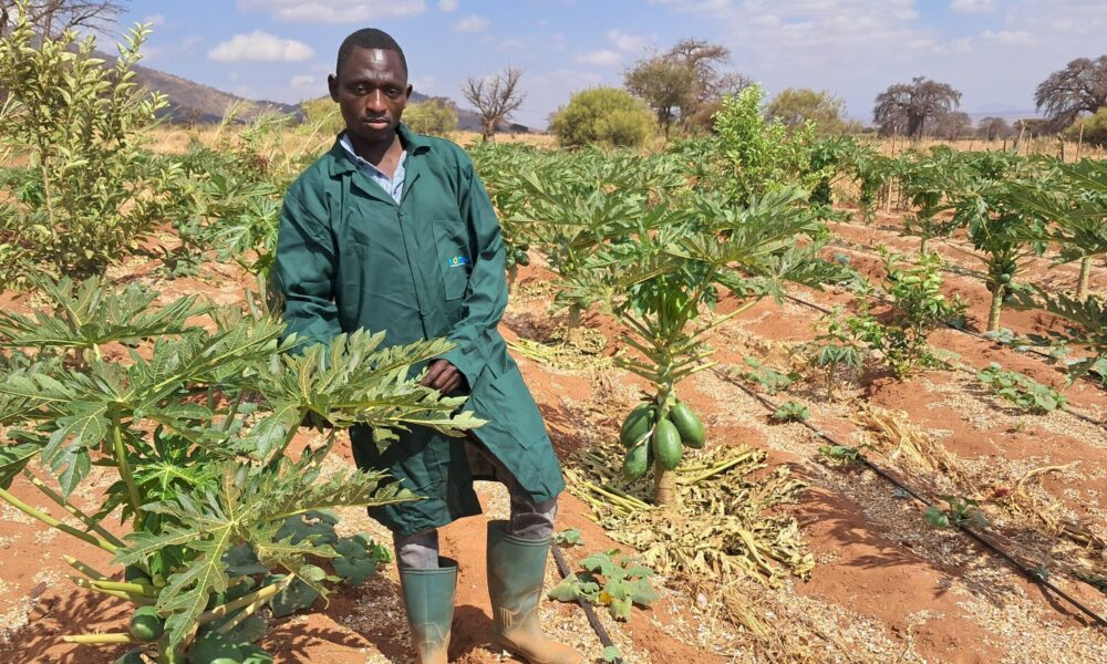 Africa Squeezed Between Import Substitution and Dependency Syndrome -By Kestér Kenn Klomegâh