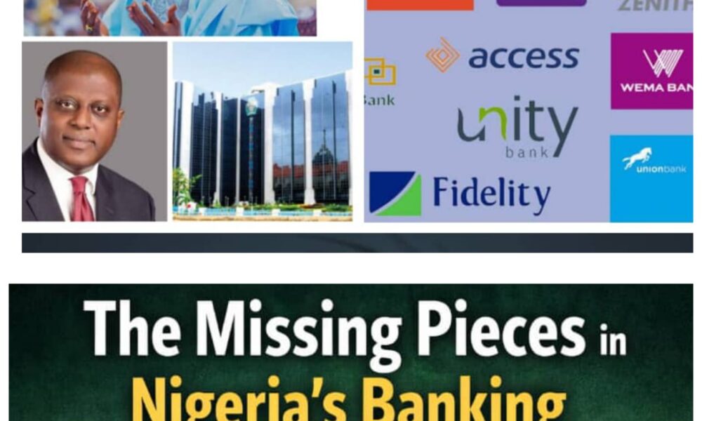 The Missing Pieces in Nigeria’s Banking Recapitalisation -By Blaise Udunze